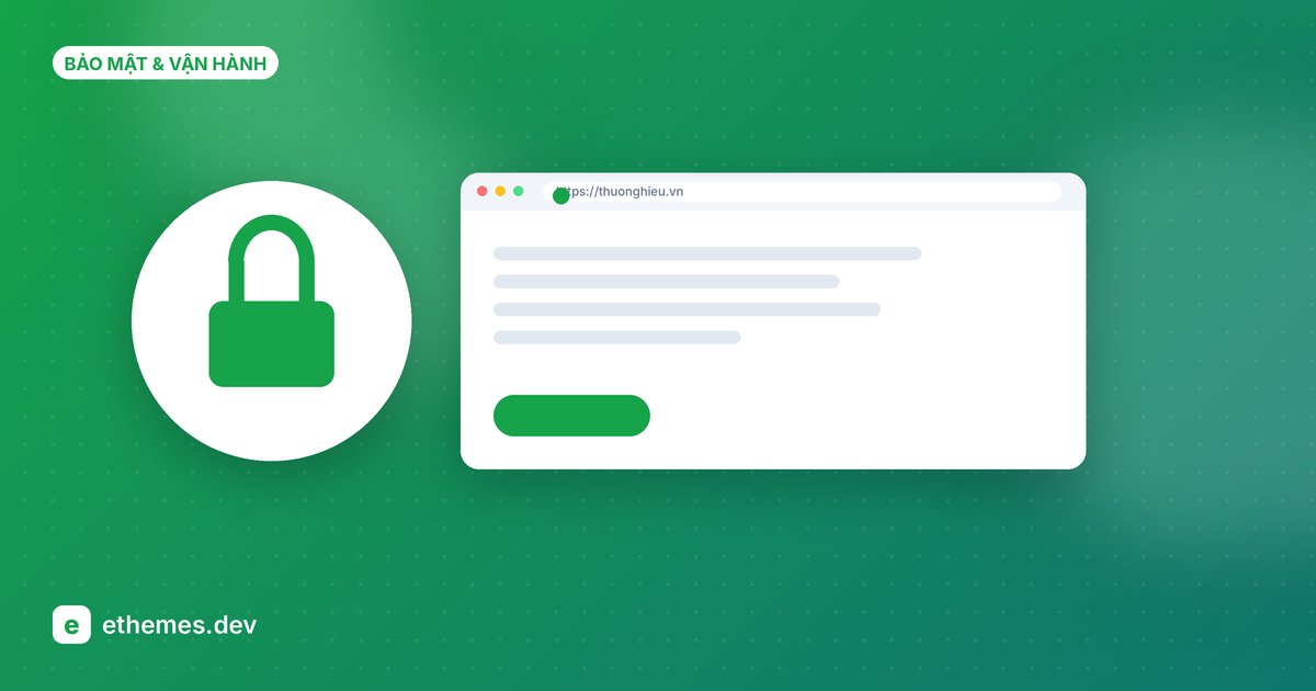 SSL là gì và vì sao website bắt buộc phải có HTTPS